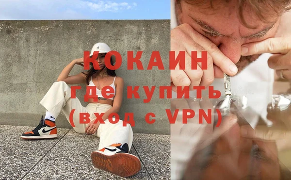 крисы Беломорск