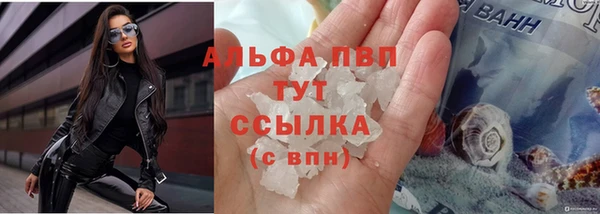 крисы Беломорск