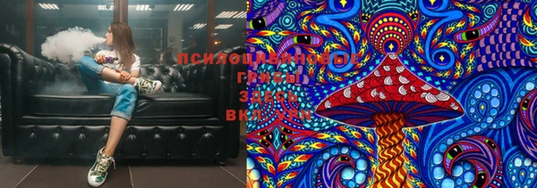 марки lsd Белокуриха