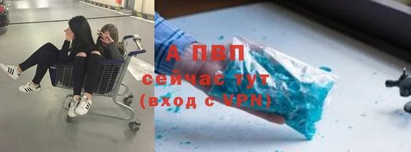 марки lsd Белокуриха